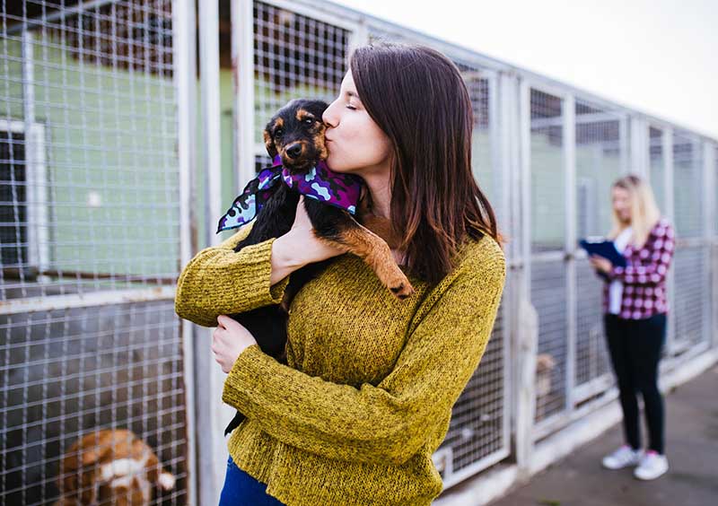 How Adoption Works